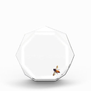 Honey Bee Acrylic Award