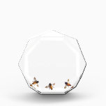 Honey Bee Acrylic Award<br><div class="desc">cute little honey bee design</div>