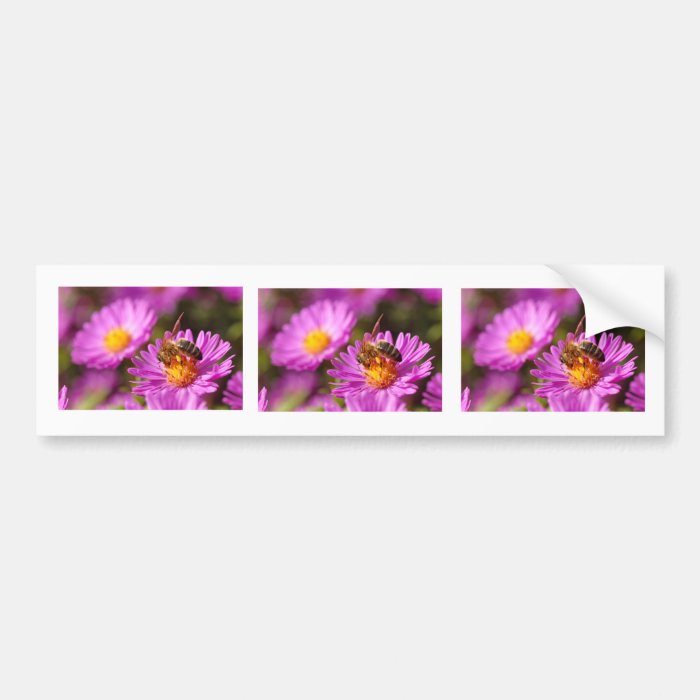 Honey bee and pollination bumper stickers