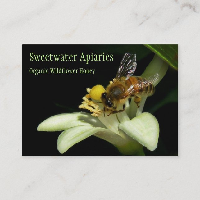 Honey Bee Apiary Business Card (Front)