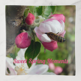 Honey Bee & Apple Blossom: Glass Serving Tray Deco