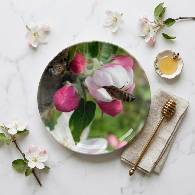 Honey Bee & Apple Blossom: Glass Serving Tray Deco (Creator Uploaded)