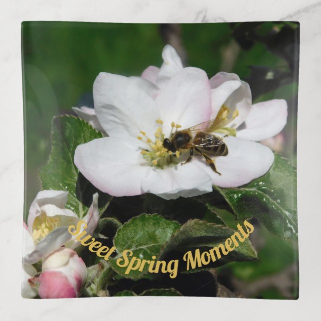 Honey Bee & Apple Blossom: Glass Serving Tray Deco (Front)