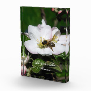 Honey Bee & Apple Blossom Macro   Acrylic Block