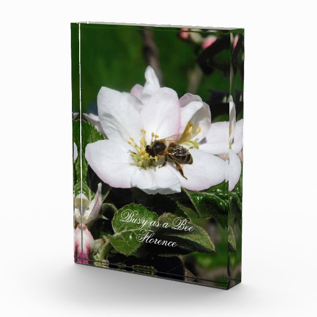 Honey Bee & Apple Blossom Macro | Acrylic Block (Right)
