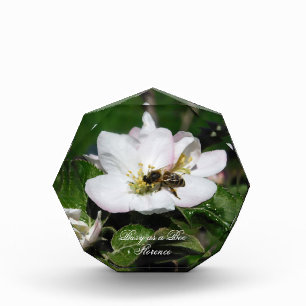 Honey Bee & Apple Blossom Macro   Acrylic Block