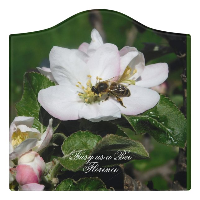 Honey Bee & Apple Blossom Macro | Acrylic Sign (Large Crest Front)