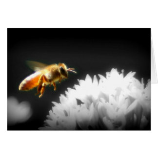 Honey Bee Approach Cards