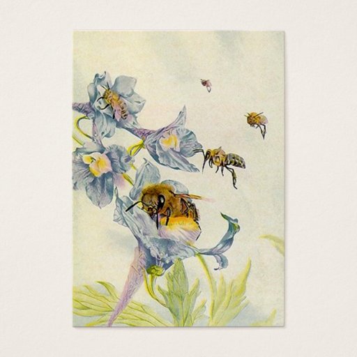 Customizable HONEY BEE BASKET TAGS ~ GIFT TAG CARDS & BUSINESS BUSINESS CARD