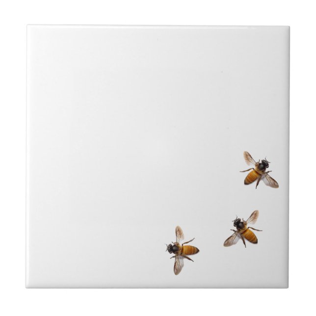 Honey Bee bee bumble bee Ceramic Tile (Front)