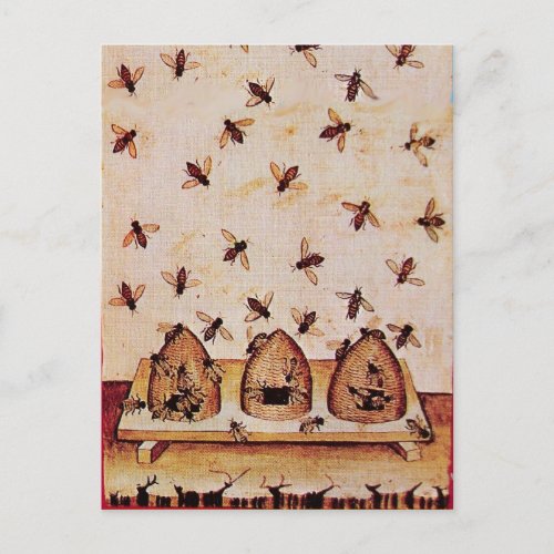 HONEY BEE BEEKEEPER apiarybeekeeping supplies Postcard