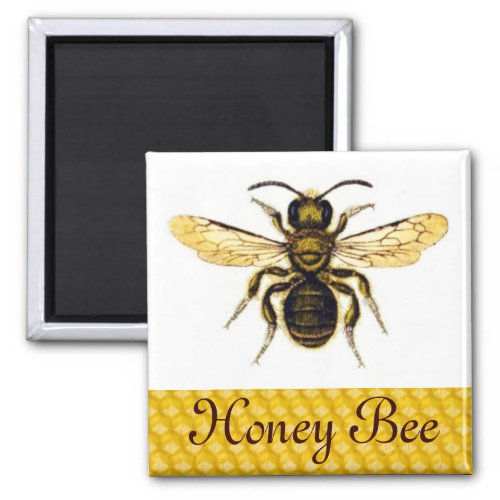 HONEY BEE BEEKEEPER MAGNET