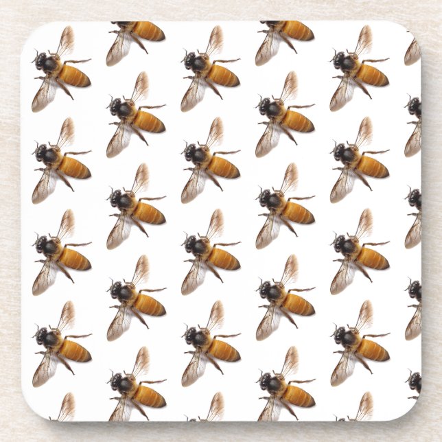 Honey Bee Beverage Coaster (Front)