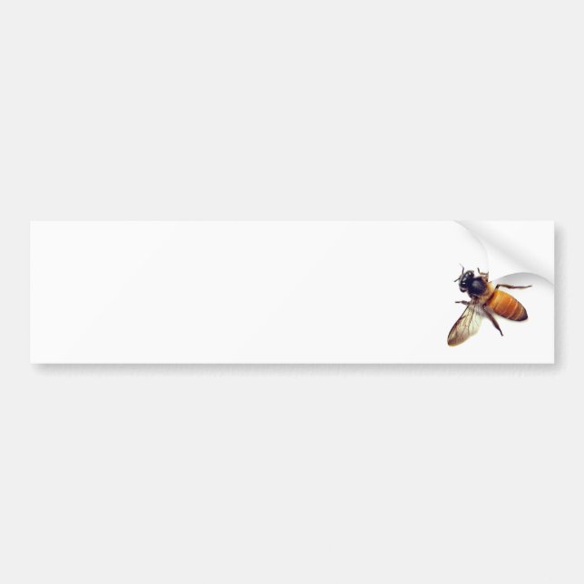 Honey Bee Bumper Sticker (Front)