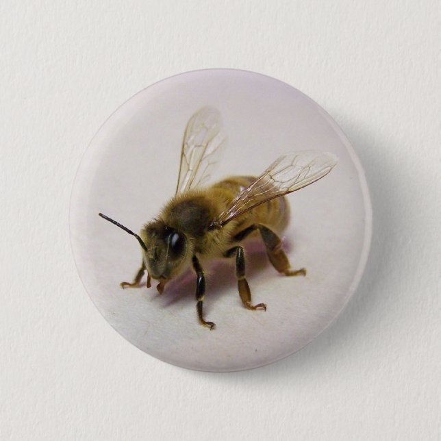 Honey bee button (Front)