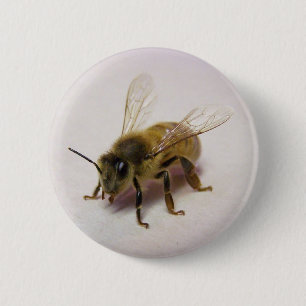Honey bee button