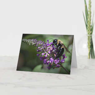 Honey Bee, card