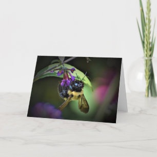 Honey Bee, card