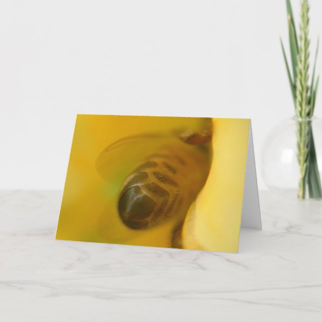 Honey Bee Card (Front)