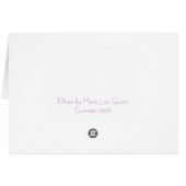 Honey Bee Cards (Back Horizontal)