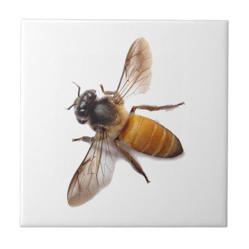 Honey Bee Ceramic Tile