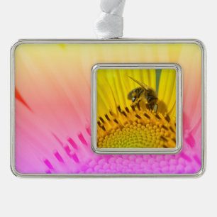 Honey bee feeding on sunflower postcard metal orna christmas ornament