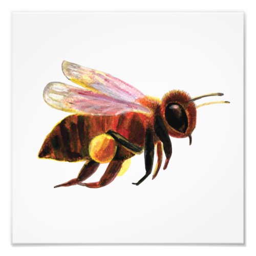 Honey Bee Flying Photo Print