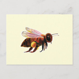Honey Bee Flying   Postcard