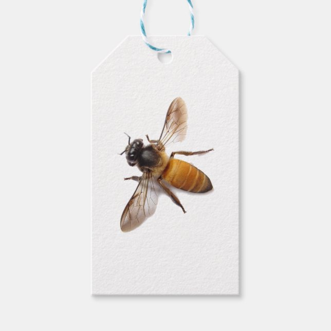 Honey Bee Gift Tags (Front)