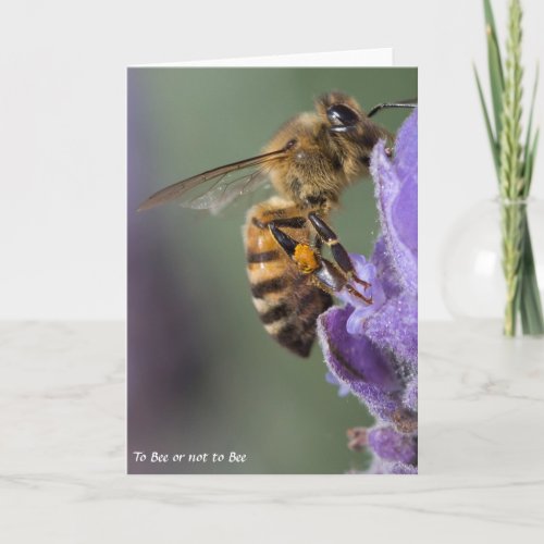 Honey Bee Greeting Card Blank