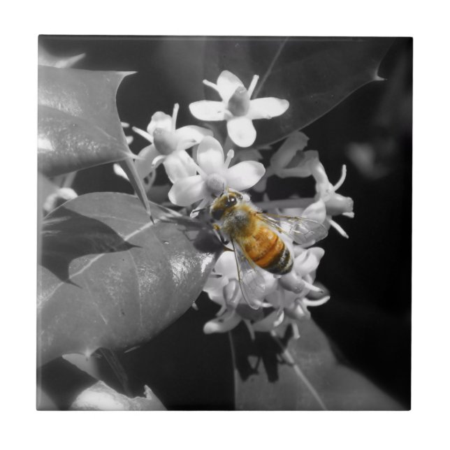 Honey Bee & Holly Ceramic Tile (Front)