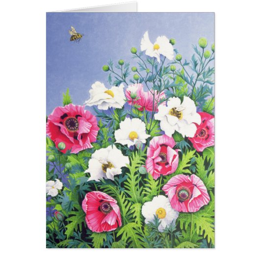 Honey Bee Honey Bee Cards (Front)