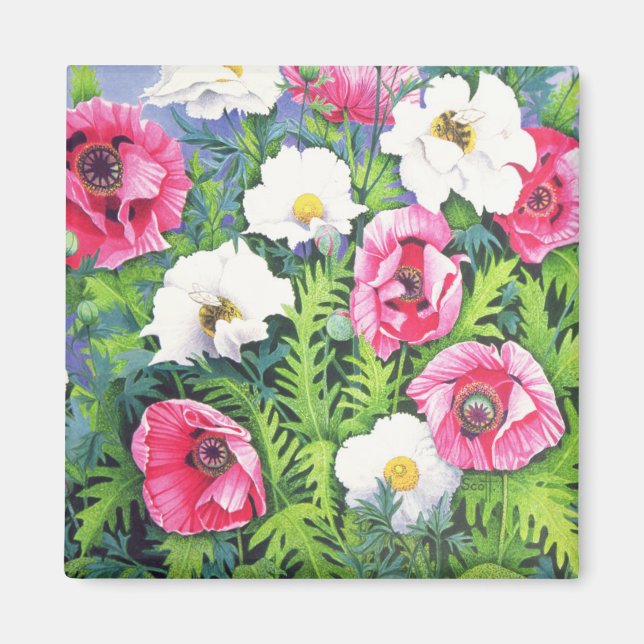 Honey Bee Honey Bee Magnet (Front)