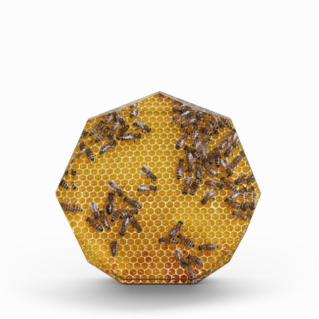 Honey Bee Honeycomb  Acrylic Award (Front)