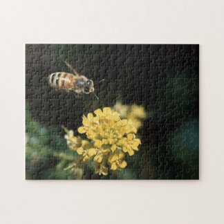 honey bee jigsaw puzzle