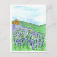 Honey Bee Lavender Field Cottage