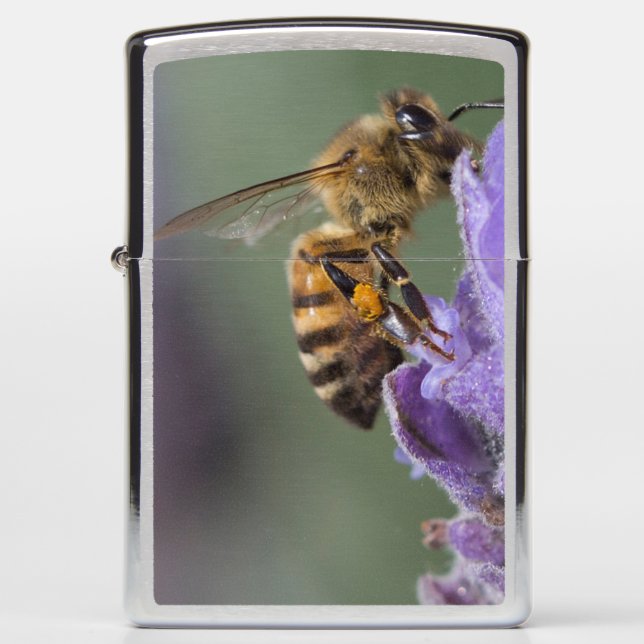 Honey Bee Lavender Flower Zippo Lighter (Front)