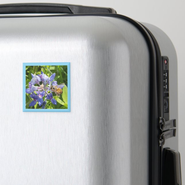Honey bee magnet (In Situ (Luggage))