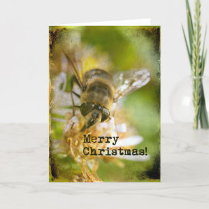Honey Bee Merry Christmas Holiday Card