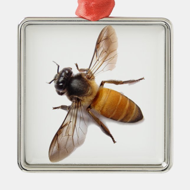 Honey Bee Metal Ornament (Front)