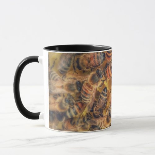 Honey Bee Mug  Coffee Cup