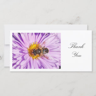 Honey Bee on a Michaelmas Daisy - Thank You
