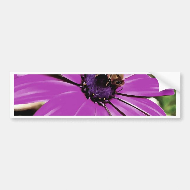 Honey Bee On A Purple African Daisy Art Bumper Sticker (Front)