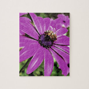 Honey Bee On A Purple African Daisy Art Jigsaw Puzzle