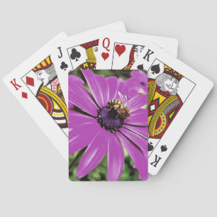 Honey Bee On A Purple African Daisy Art Poker Cards