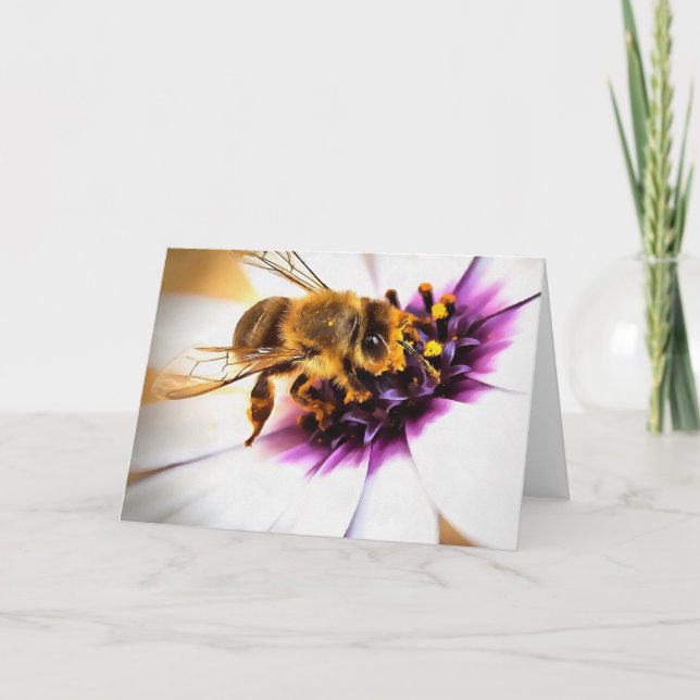 Honey Bee On African Daisy Acrylic Art Card (Front)