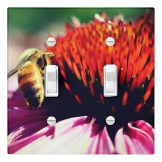 Honey Bee On Coneflower Close Up    
