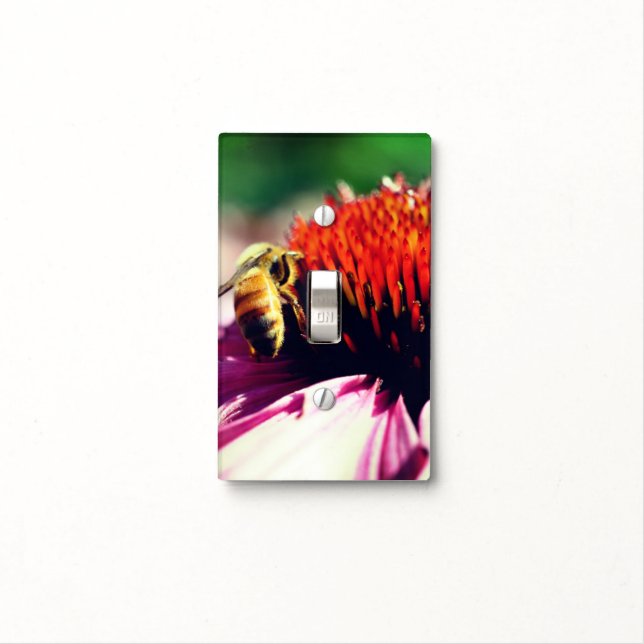 Honey Bee On Coneflower Close Up    Light Switch Cover (In Situ)
