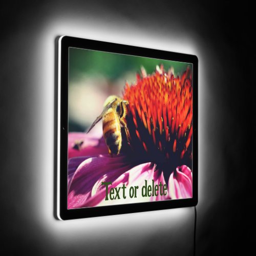 Honey Bee On Coneflower Daisy Personalized LED Sign