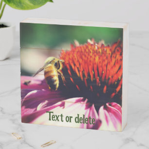 Honey Bee On Coneflower Daisy Personalized Wooden Box Sign